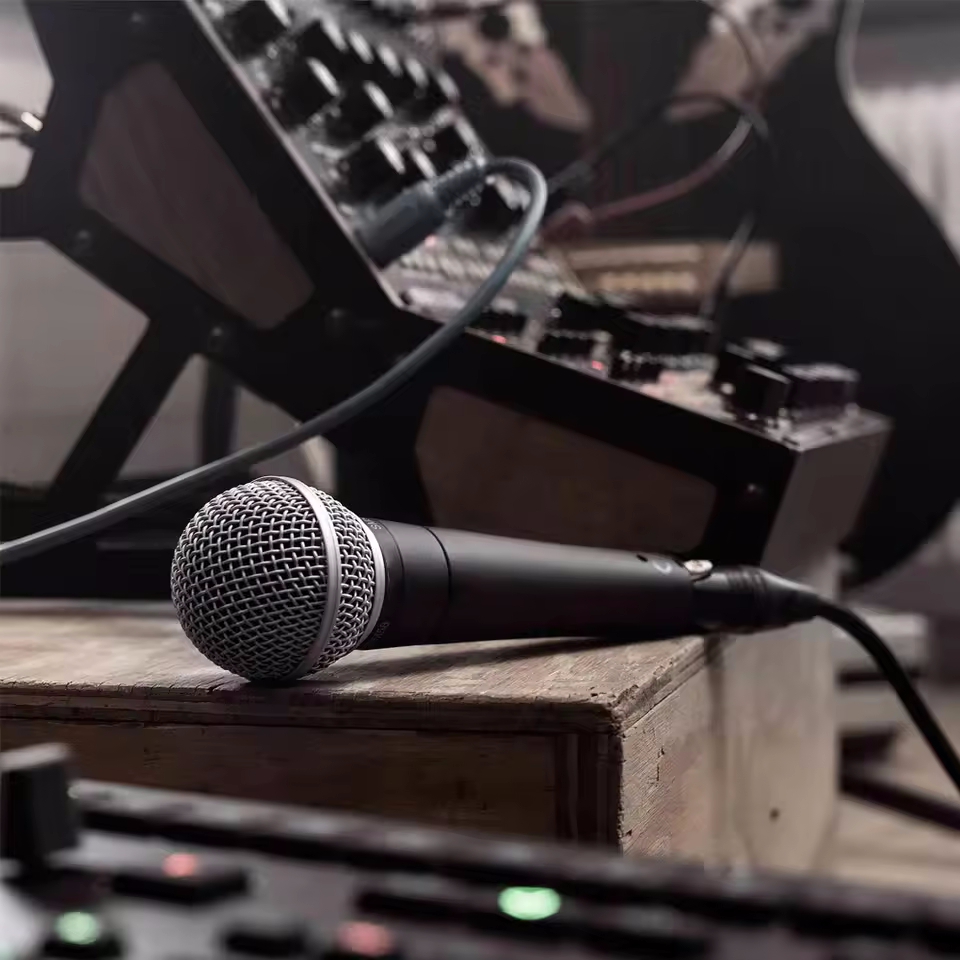 Karaoke Dynamic Microphone Pro - Gaming Console Sale 评论和价格
