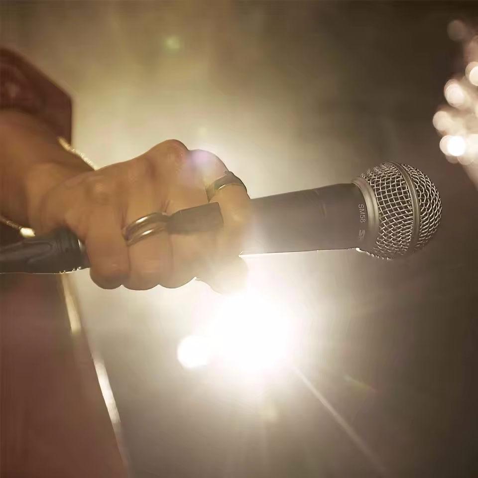 Karaoke Dynamic Microphone Pro - Gaming Console Sale 评论和价格
